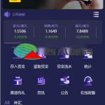 新UI多语言微盘外汇系统/时间盘微盘源码